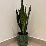 Fina Apartman Lagos