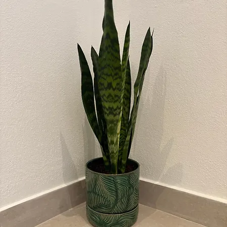 Fina Appartement Lagos